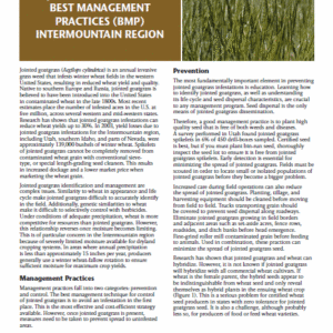 Jointed Goatgrass: Best Management Practices (BMP) Intermountain Region