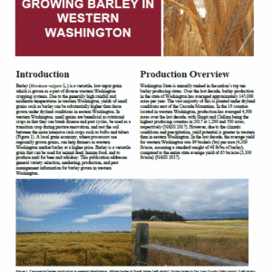 Growing Barley in Western Washington