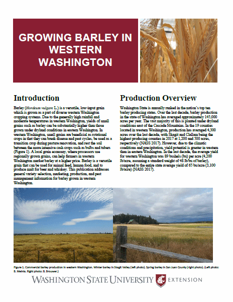 Growing Barley in Western Washington