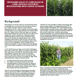 Increasing Value of Corn Silage in Corn-Triticale System by Intercropping with Forage Soybean