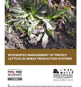 Integrated Management of Prickly Lettuce in Wheat Production Systems