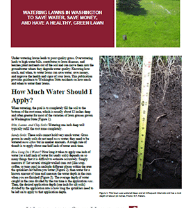 Watering Lawns in Washington to Save Water, Save Money, and Have a Healthy, Green Lawn