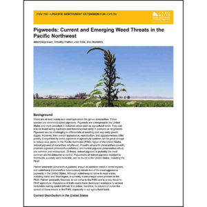 Pigweeds: Current and Emerging Weed Threats in the Pacific Northwest