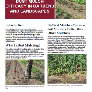 Dust mulch efficacy in gardens and landscapes (Home Garden Series)