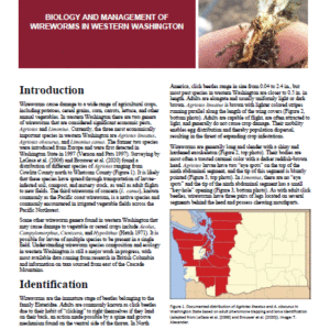 Biology and Management of Wireworms in Western Washington