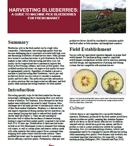 Harvesting Blueberries: A Guide to Machine Pick Blueberries for Fresh Market