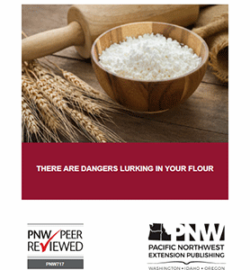 There Are Dangers Lurking in Your Flour