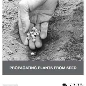 Propagating Plants from Seed