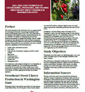 2021-2022 Cost Estimates of Establishing, Producing, and Packing Sweetheart Sweet Cherries in Washington State