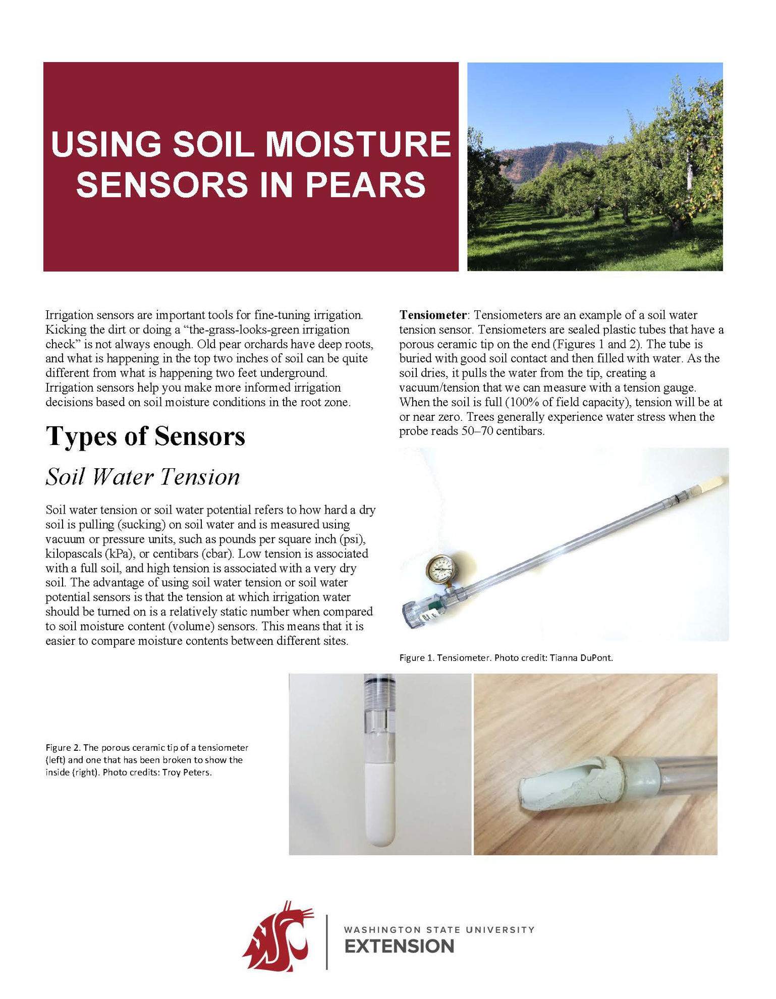 Using Soil Moisture Sensors in Pears