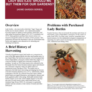 Lady Beetles: Should We Buy Them for Our Gardens? (Home Garden Series)