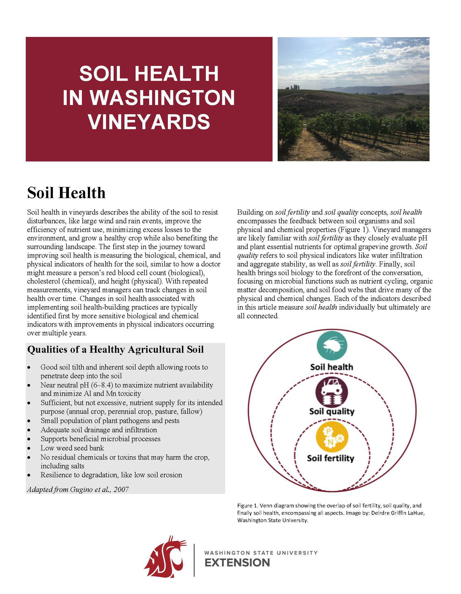 Soil Health in Washington Vineyards