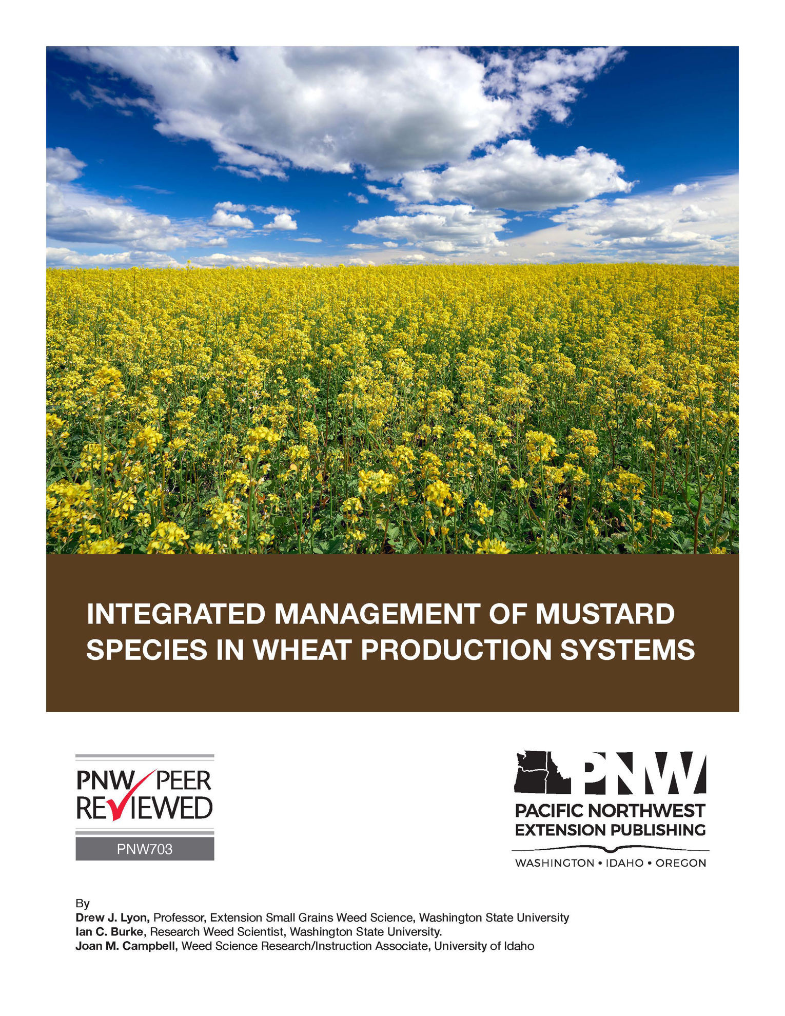 Integrated Management of Mustard Species in Wheat Production Systems