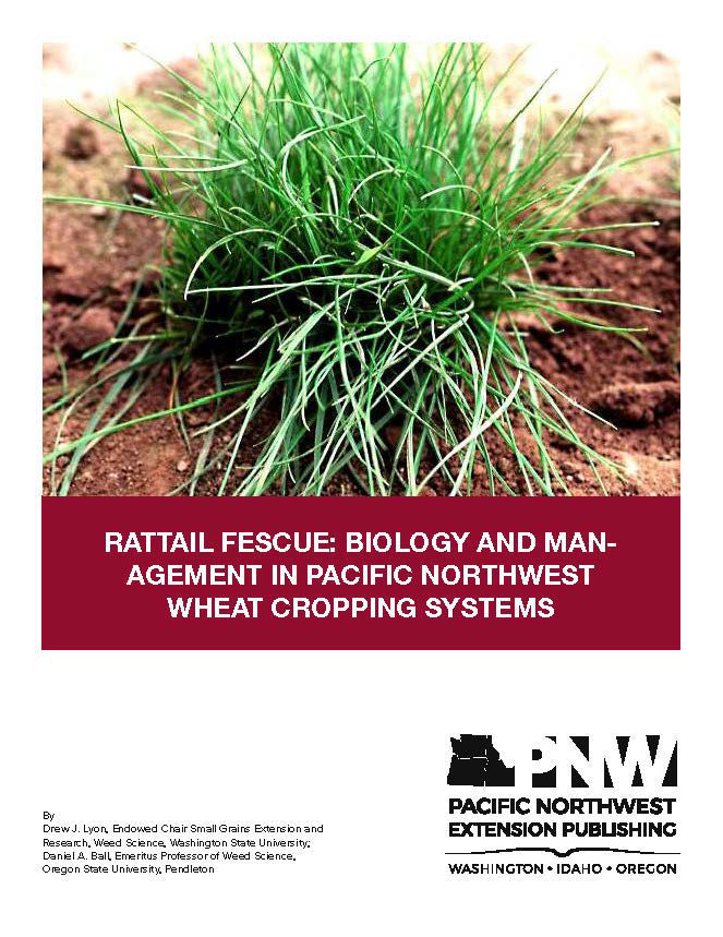 Rattail Fescue: Biology and Management in Pacific Northwest Wheat Cropping Systems