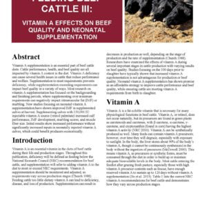 Feeding Beef Cattle III: Vitamin A Effects on Beef Quality and Neonatal Supplementation
