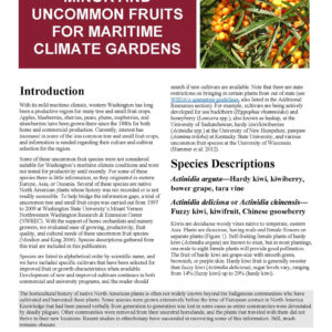 Minor and Uncommon Fruits for Maritime Climate Gardens