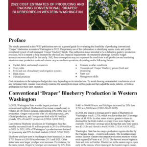 2022 Cost Estimates of Producing and Packing Conventional 'Draper' Blueberries in Western Washington