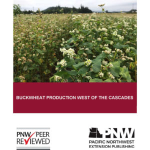 Buckwheat Production West of the Cascades