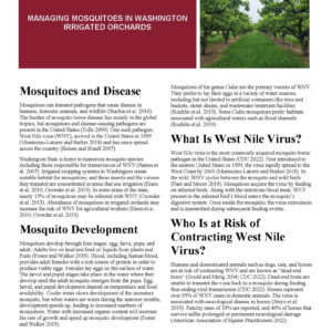 Managing Mosquitoes in Washington Irrigated Orchards