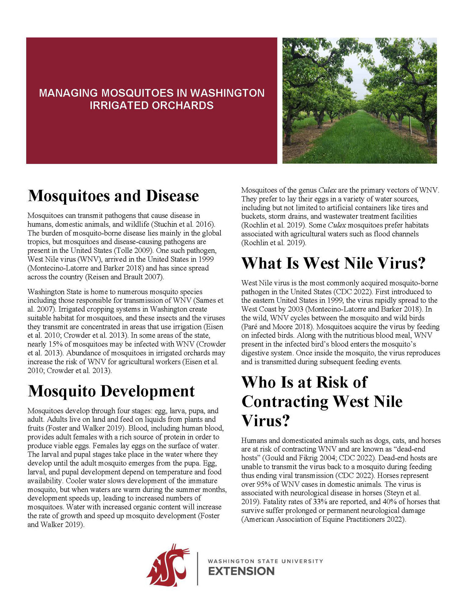 Managing Mosquitoes in Washington Irrigated Orchards