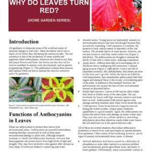 Why Do Leaves Turn Red? (Home Garden Series)