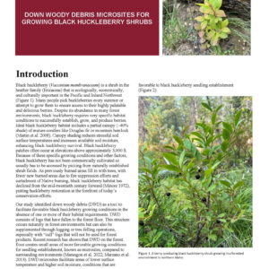 Down Woody Debris Microsites for Growing Black Huckleberry Shrubs