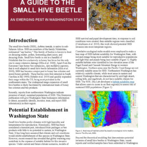 A Guide to the Small Hive Beetle: An Emerging Pest in Washington State