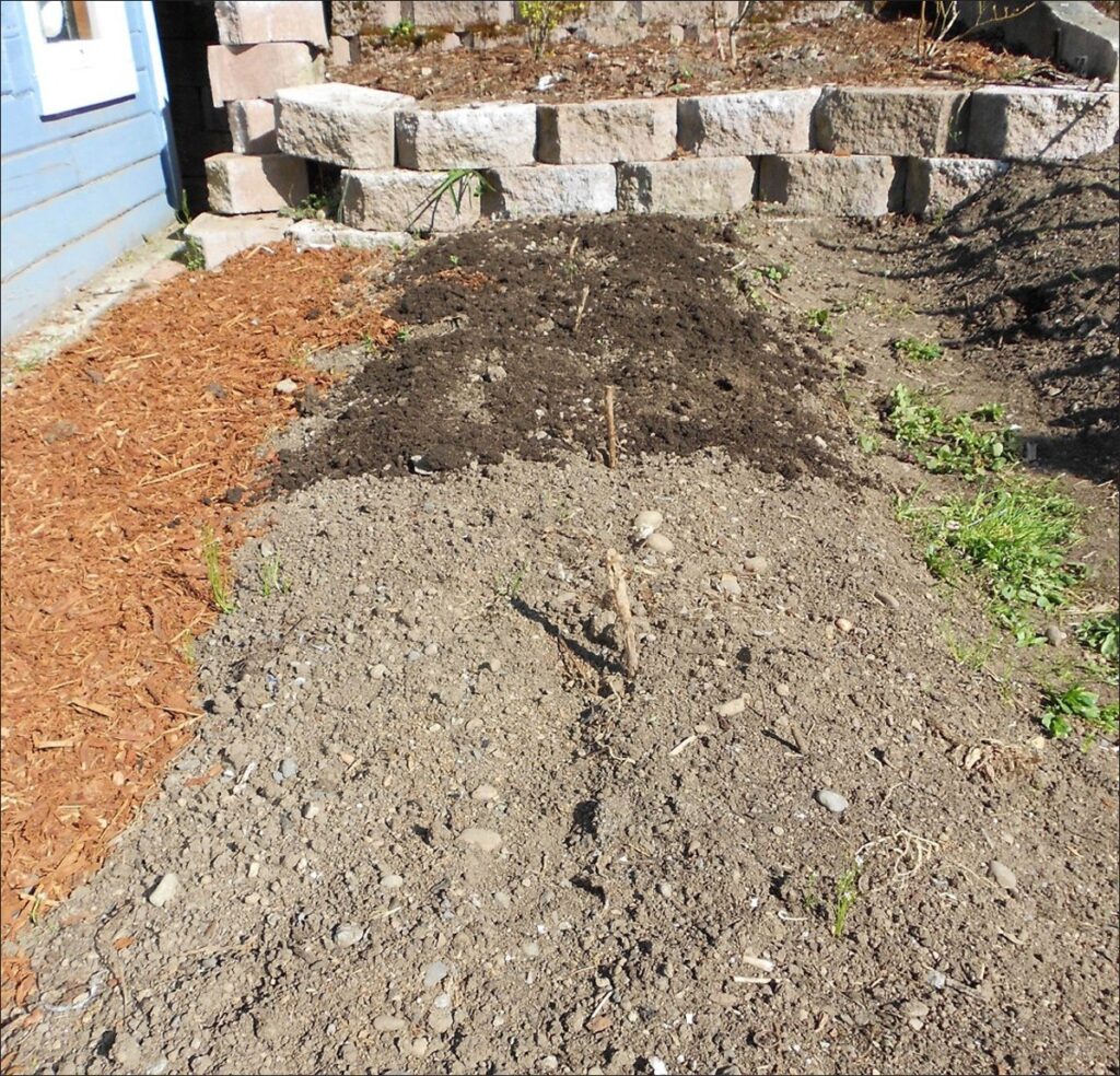 A garden with a short stone wall and red bark on the left. Nothing is planted in the soil, but darker brown soil lies on top of the back half of the garden.