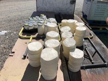 Towers of cheese and jugs of milk on the ground next to a folding table.
