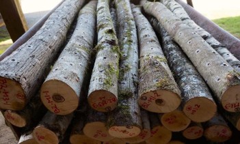Bolts stacked in a pile with inoculation holes in a diamond pattern.