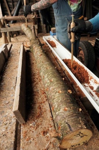 A log being inoculated with sawdust using a plunger tool. A wooden pallet holds the log in place, and a small white trough holds the sawdust.