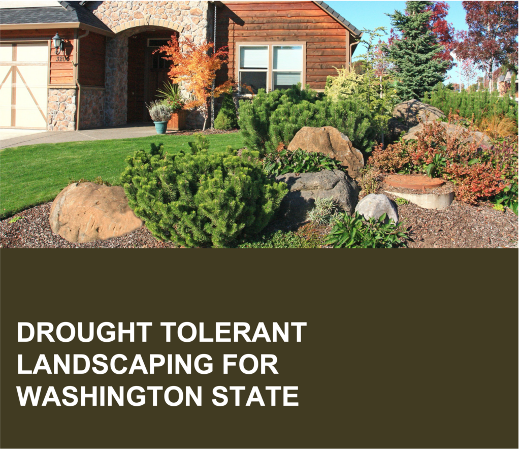 Drought Tolerant Landscaping for Washington State.