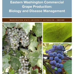 Powdery Mildew in Eastern Washington Commercial Grape Production: Biology and Disease Management