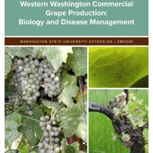 Powdery Mildew in Western Washington Commercial Grape Production: Biology and Disease Management