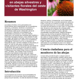 Guía de ciencia ciudadana en abejas silvestres y visitantes florales del oeste de Washington (Home Garden Series)