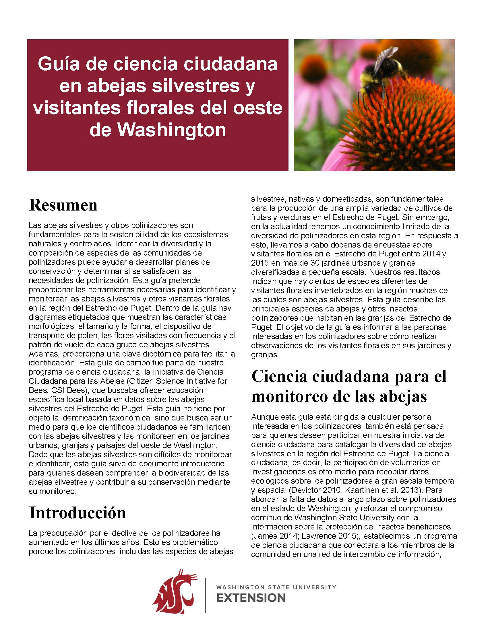 Guía de ciencia ciudadana en abejas silvestres y visitantes florales del oeste de Washington (Home Garden Series)