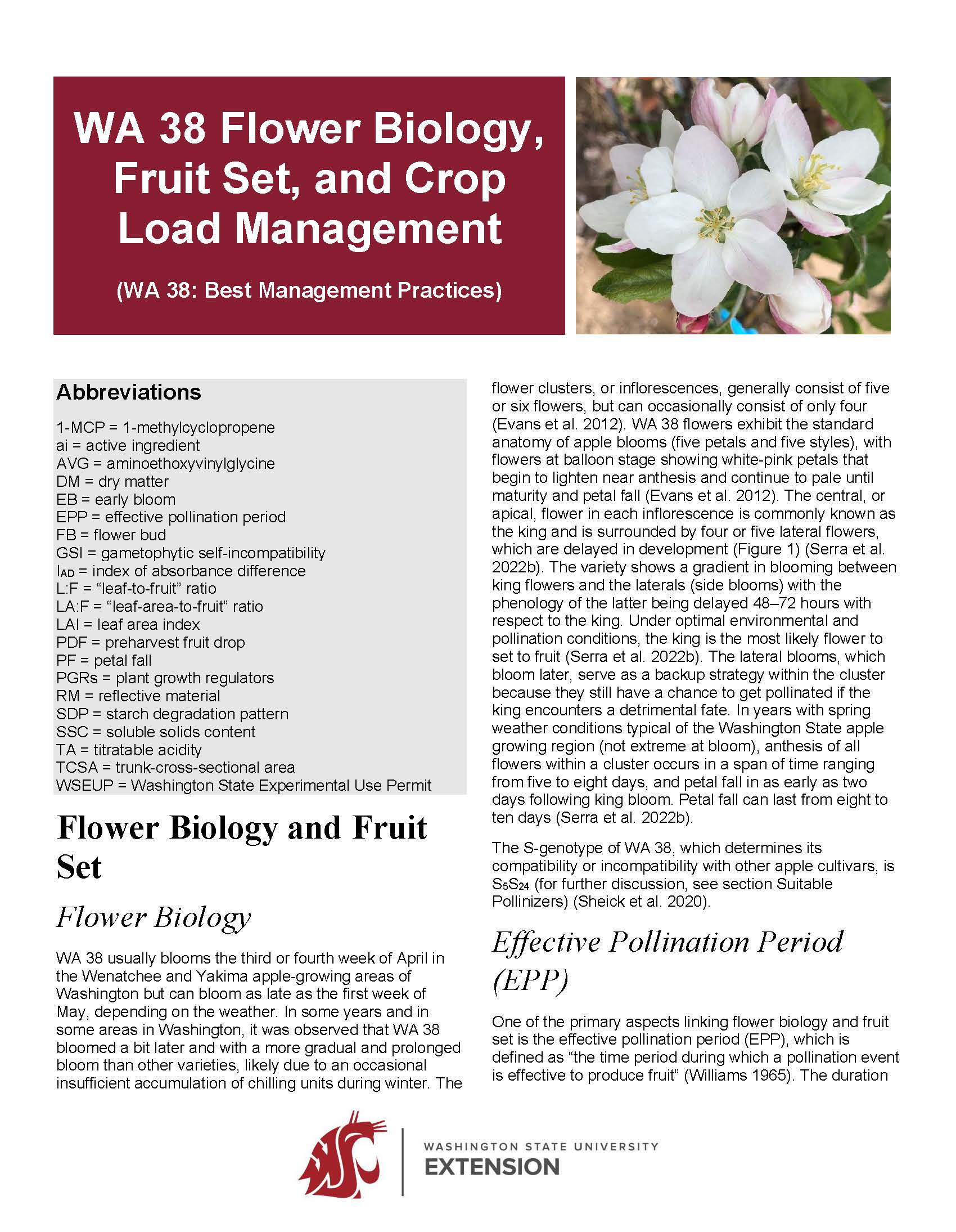 WA 38 Flower Biology, Fruit Set, and Crop Load Management