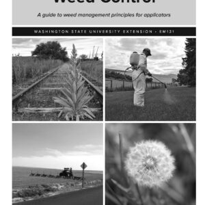 an image of the publication cover