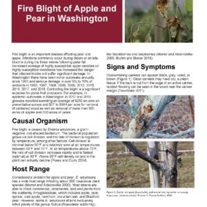 Fire Blight of Apple and Pear in Washington