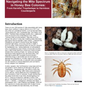 Navigating the Mite Spectrum in Honey Bee Colonies: From Harmful Tropilaelaps to Harmless Counterparts