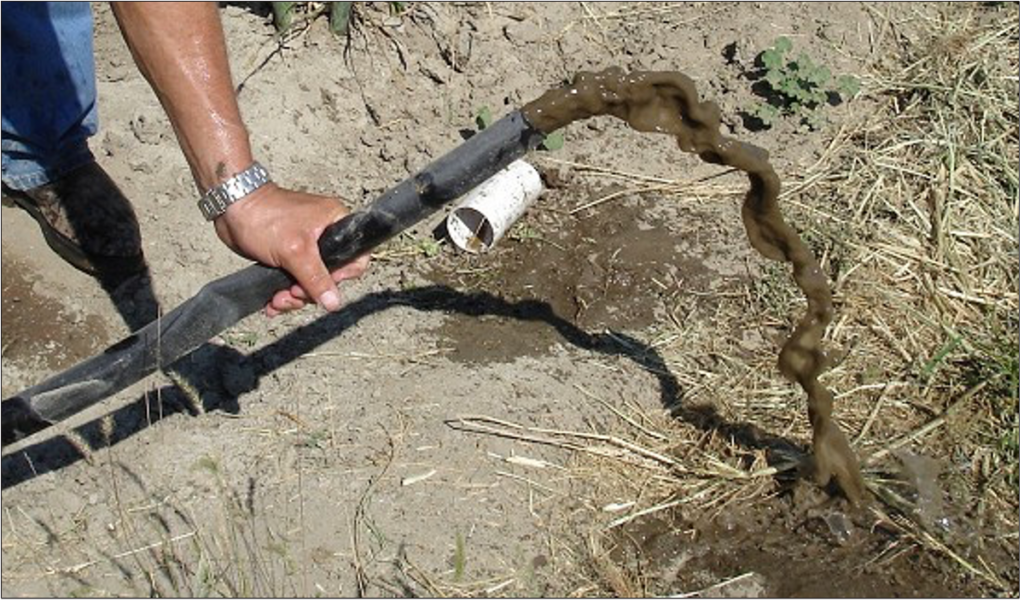 Person holding black drip line over a dirt ground with brown water draining from it.