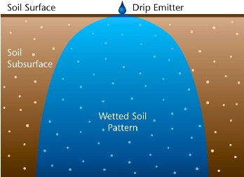 Water from a drip emitter spreads downward and outward through the soil, forming an inverted dome-shaped wetted area in the root zone.