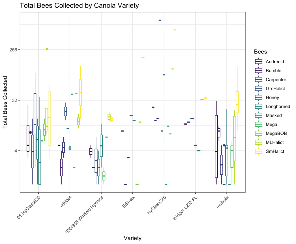 Gráfica mostrando el total de las abejas recogidas por variedad de canola. Los datos se presentan en pequeños cuadros de colores para cada variedad.