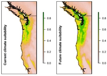 Mapa resumen de la idoneidad climática actual y futura del avispón de patas amarillas (Vespa velutina) en la del noroeste del Pacífico de Estados Unidos, predicha a partir del modelo de distribución de especies según Barbet-Massin et al. (2020).
