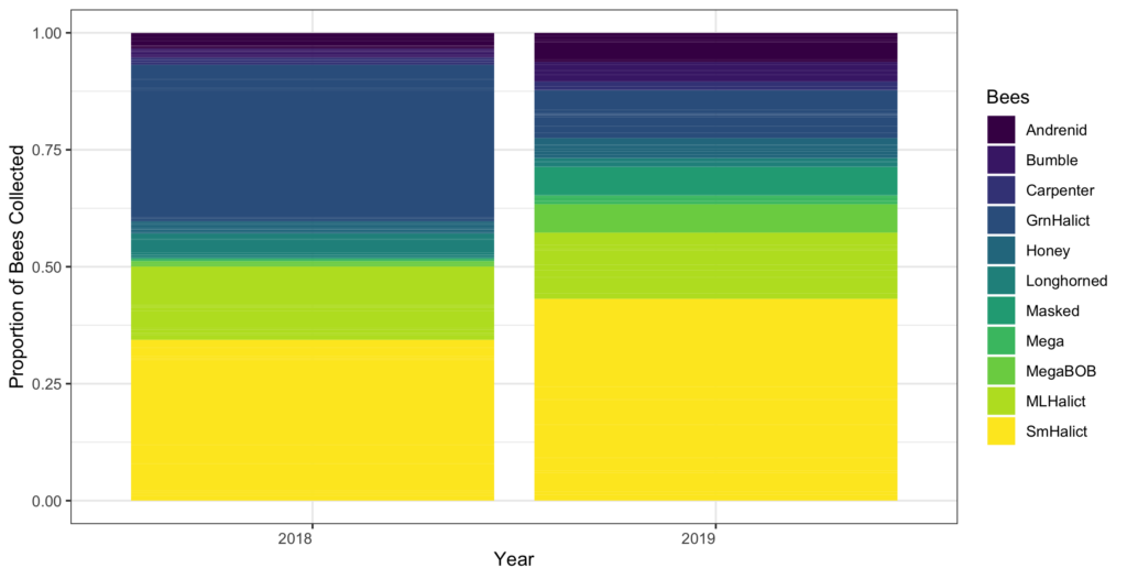 Gráfica mostrando la proporción de abejas. Los datos se presentan en franjas de colores de diferente tamaño.
