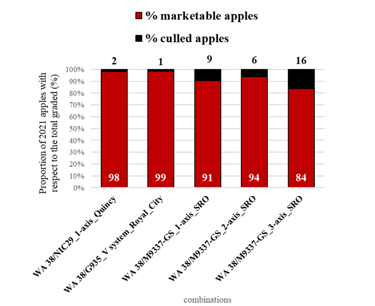Figure 5 presents a graphical representation of WA 38 apple packout across five management or treatment combinations evaluated in 2021 at three sites. For each combination, the chart shows the proportions of apples classified as culls and as marketable fruit. Cull apples are indicated in black and range from 1 to 16 %, while marketable apples are shown in red and range from 84% to 98%. The proportions were determined by visual assessment before grading on a commercial sorting line. Across combinations, the relative balance between cull and marketable fruit varies, illustrating differences in fruit quality outcomes among the surveyed treatments and sites.