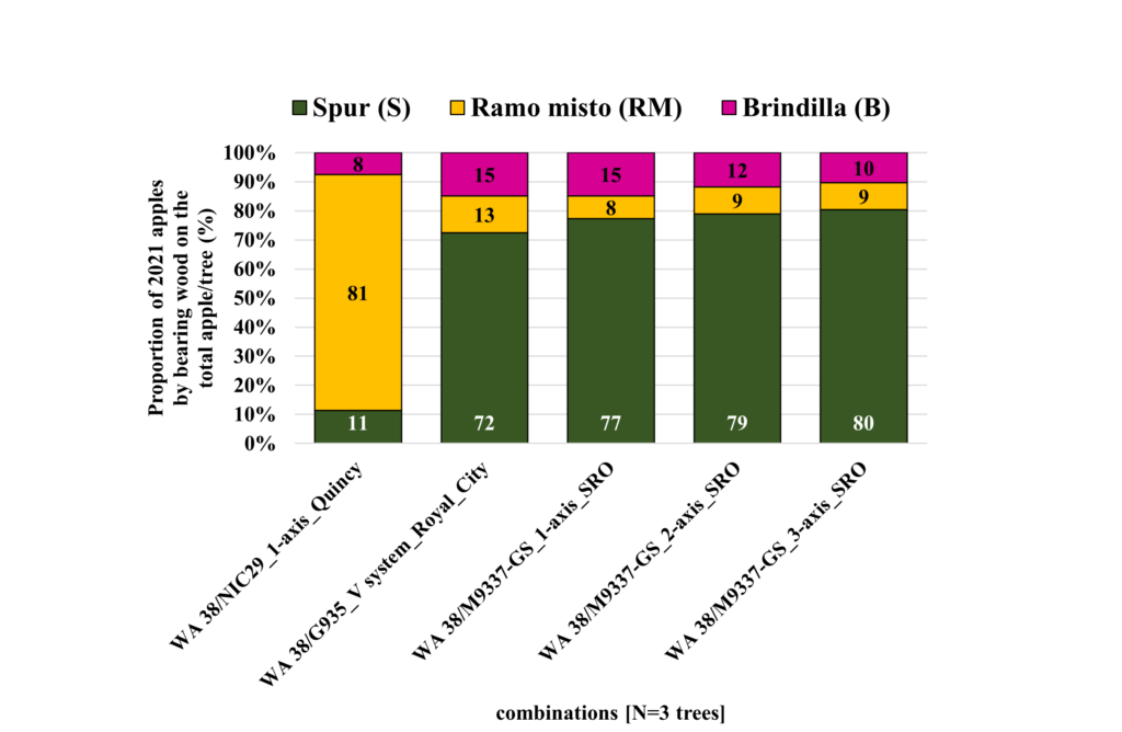 Figure 7 presents a graphic showing the proportion of WA 38 apples harvested from different bearing wood types across combinations surveyed in 2021. Data are based on three trees per scenario across three sites. Bearing wood is categorized as spur, ramo misto, and brindilla. Spurs are represented in green, ramo misto in yellow, and brindilla in fuchsia. The chart compares how each bearing wood type contributes to total harvested fruit within each combination, illustrating differences in crop distribution and bearing habit among the evaluated scenarios. Fruit on spur ranges from 11 to 80. Fruit on ramo misto from 8% to 81%. Fruit on brindilla ranged from 8% to 15%.