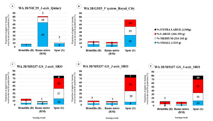 Figure 9 presents a multi-panel graphic (panels A through E) showing the distribution of WA 38 apple yield by bearing wood type and fruit size class for five individual combinations evaluated in 2021. The combinations include: (A) WA 38/M.9-NIC29, one-axis system, Quincy; (B) WA 38/G.935, V-system, Royal City; (C) WA 38/M.9-T337 -GS, one-axis system, SRO; (D) WA 38/M.9-T337 -GS, two-axis system, SRO; and (E) WA 38/M.9-T337 -GS, three-axis system, SRO. For each panel, the proportions shown represent the total number of apples produced per tree in 2021. An average of three trees was evaluated per combination. The total number of apples graded per combination was 477 for A, 213 for B, 184 for C, 209 for D, and 156 for E. Fruit size classes are categorized as small (blue), medium (white), large (red), and extra-large (black). The figure allows comparison of fruit-size distributions among bearing wood types within each management combination.