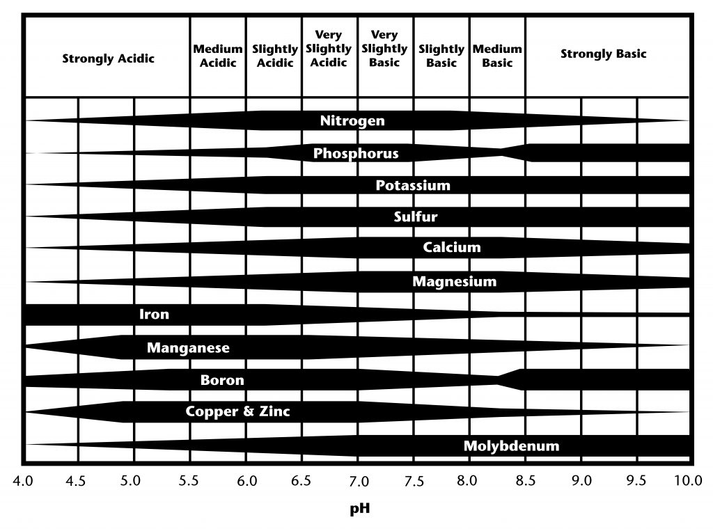 Chart showing how soil nutrient availability varies across a pH range from 4.0 (strongly acidic) to 10.0 (strongly basic). Horizontal bands indicate relative availability of nitrogen, phosphorus, potassium, sulfur, calcium, magnesium, iron, manganese, boron, copper and zinc, and molybdenum, with most nutrients most available near neutral pH.