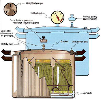 Cutaway illustration of a pressure canner showing both dial gauge and weighted gauge components, with labeled parts including the vent port, safety fuse, gasket, and jar rack holding jars inside the canner.